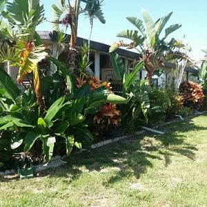 Life's a Jungle, $7 n Under make bundles